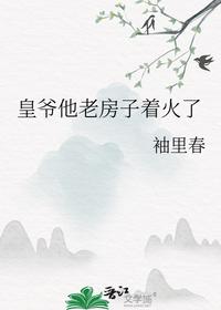 皇爷他老房子着火了
